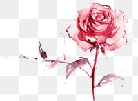 PNG Rose rose art drawing. 