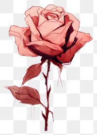 PNG Rose rose drawing flower. AI generated Image by rawpixel.