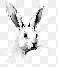 PNG Rabbit drawing animal mammal. AI generated Image by rawpixel.