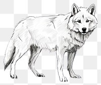 PNG Wolf drawing wolf mammal. AI generated Image by rawpixel.