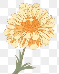 PNG  Marigold flower wallpaper pattern petal. AI generated Image by rawpixel.