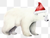 PNG Polar bear wear christmas hat mammal animal white. 