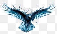 PNG Eagle flying bird wing. AI generated Image by rawpixel.