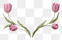 PNG Little tulip frame pattern embroidery flower