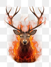 PNG Deer fire wildlife burning. AI generated Image by rawpixel.
