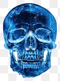 PNG Skull night blue anthropology. AI generated Image by rawpixel.