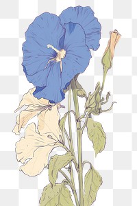 PNG  Skeletoncover with blue Ipomoea sketch drawing flower. AI generated Image by rawpixel.