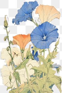 PNG Skeletoncover with blue Ipomoea sketch drawing flower. 