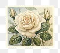 PNG White rose postage stamp painting pattern flower. AI generated Image by rawpixel.