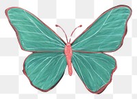 PNG Butterfly animal insect green. AI generated Image by rawpixel.