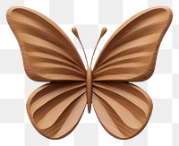 Butterfly shape wood insect animal. 