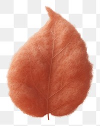 PNG Leaf brown plant petal. AI generated Image by rawpixel.