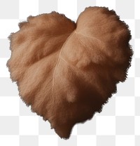 PNG Leaf heart softness darkness. 