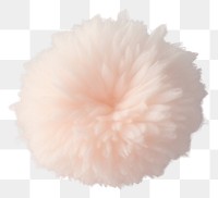 PNG Daisy flwoer shape accessories accessory softness. 