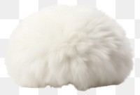 PNG Mushroom shape mammal white wool. AI generated Image by rawpixel.