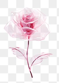 PNG Rose flower petal plant inflorescence