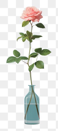 PNG  Rose in vase st the flower shop painting plant inflorescence. AI generated Image by rawpixel.