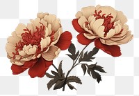 PNG Peony pattern drawing flower