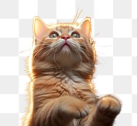 PNG  Cat looking up and reaching up mammal animal kitten. AI generated Image by rawpixel.