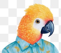 PNG Cockatoo drawing parrot animal. 