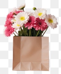 PNG Flower bag plant daisy. AI generated Image by rawpixel.