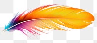 PNG Parrot feather lightweight accessories creativity. AI generated Image by rawpixel.