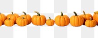 PNG Pumpkin vegetable squash plant. AI generated Image by rawpixel.