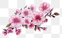 PNG Pink flower pattern plant art. 