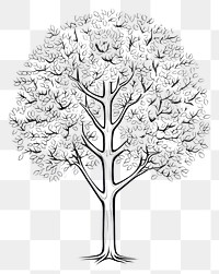 PNG  Tree sketch drawing white. AI generated Image by rawpixel.