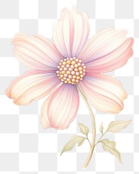 PNG Flower drawing pattern sketch. AI generated Image by rawpixel.