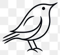 PNG  Bird animal white line. AI generated Image by rawpixel.