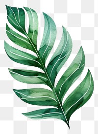 PNG Botanical leaf plant green herbs