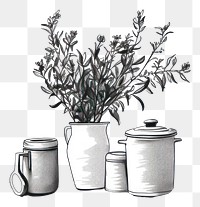 PNG  Kitchen room drawing plant white. AI generated Image by rawpixel.