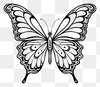 PNG  Butterfly sketch drawing animal