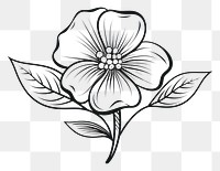 PNG  Flower sketch drawing plant. AI generated Image by rawpixel.