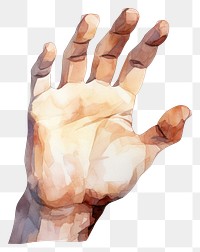 PNG Hand finger adult white background. AI generated Image by rawpixel.