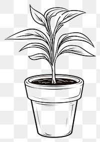 PNG  Indoor plant sketch drawing line. AI generated Image by rawpixel.