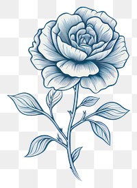 PNG Flower graphics pattern drawing