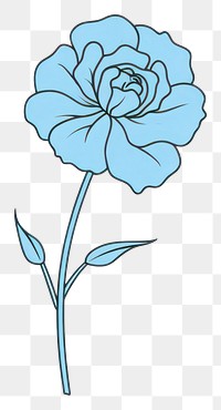 PNG Flower drawing sketch plant. AI generated Image by rawpixel.