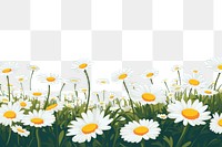 PNG Dasiy flower field landscape outdoors blossom. AI generated Image by rawpixel.