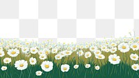 PNG Dasiy flower field landscape outdoors nature. AI generated Image by rawpixel.