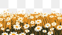 PNG Dasiy flower field outdoors nature plant. AI generated Image by rawpixel.
