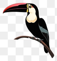 PNG Minimal tropical beach with toucan wallpaper outdoors tropics nature. 