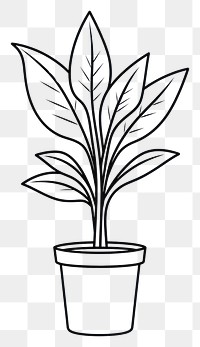PNG  Plant sketch drawing white. AI generated Image by rawpixel.