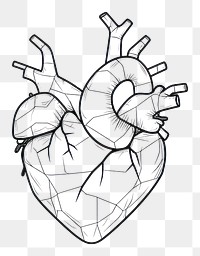 PNG  Heart sketch drawing line. AI generated Image by rawpixel.