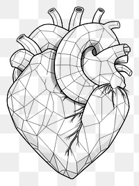 PNG Human heart sketch drawing line. 