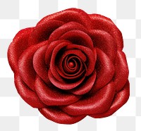 PNG Roses brooch jewelry flower. AI generated Image by rawpixel.