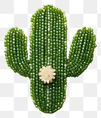 PNG Cactus plant green bead. AI generated Image by rawpixel.