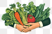 PNG  Hands holding vegetables plant green food. AI generated Image by rawpixel.