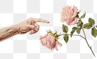 PNG The Creation of Adam painting rose art. AI generated Image by rawpixel.